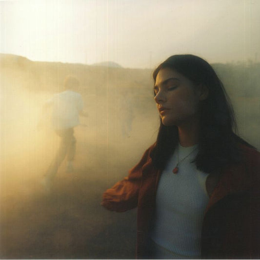 While You Can - Limited Vinyl LP vinyl record cover