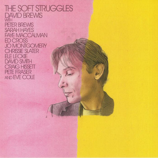The Soft Struggles - Vinyl LP vinyl record cover