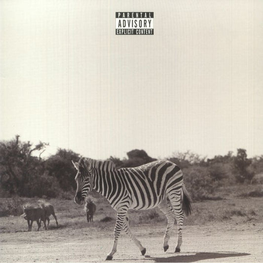 Earthling - 2xLP vinyl record cover
