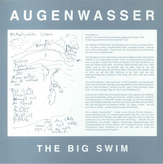 The Big Swim - Vinyl LP vinyl record cover