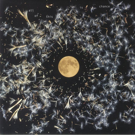 All Of This Is Chance - Vinyl LP vinyl record cover
