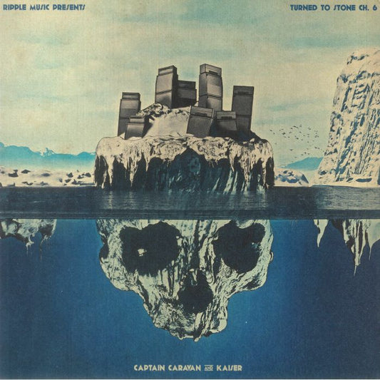 Turned To Stone Chapter 6 - Vinyl LP vinyl record cover