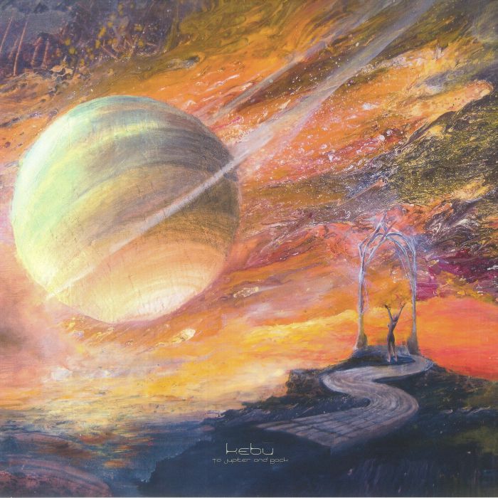 To Jupiter & Back - Vinyl LP vinyl record cover