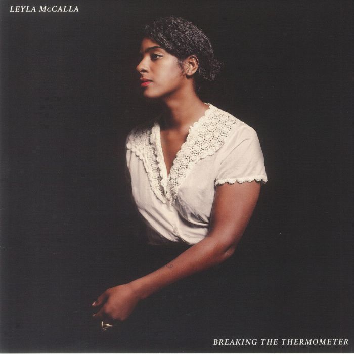 Breaking The Thermometer - Vinyl LP vinyl record cover