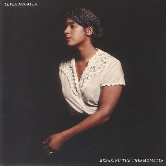 Breaking The Thermometer - Vinyl LP vinyl record cover