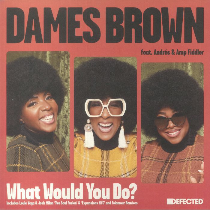 What Would You Do? - Vinyl Single vinyl record cover
