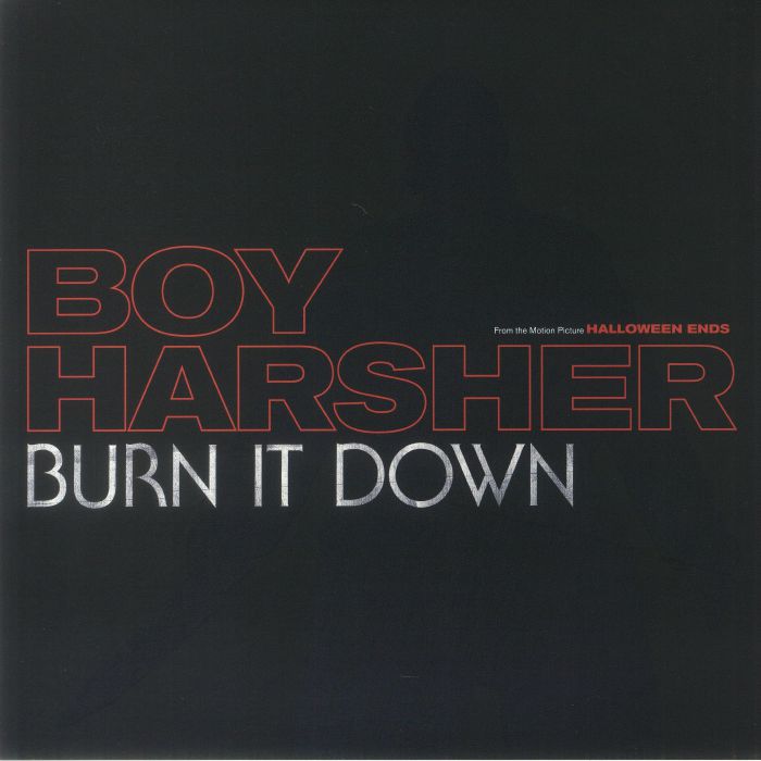 Burn It Down - Vinyl Single vinyl record cover