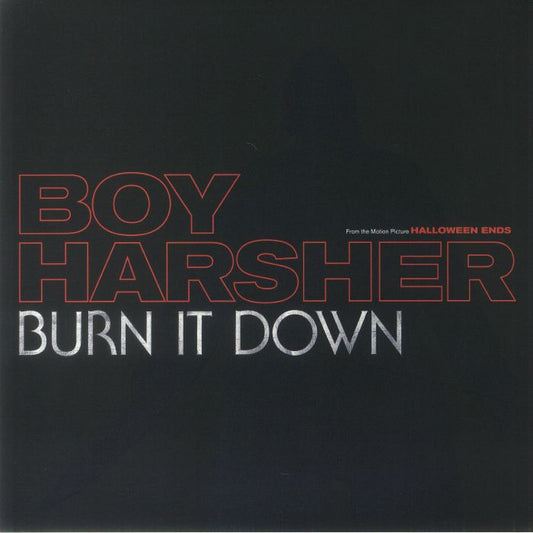 Burn It Down - Vinyl Single vinyl record cover