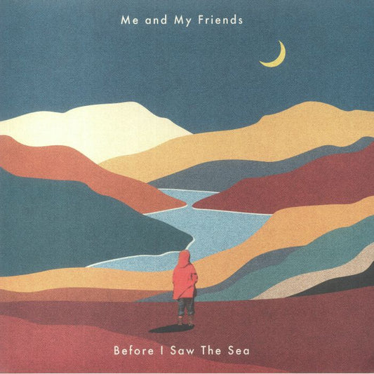 Before I Saw The Sea - Vinyl LP vinyl record cover
