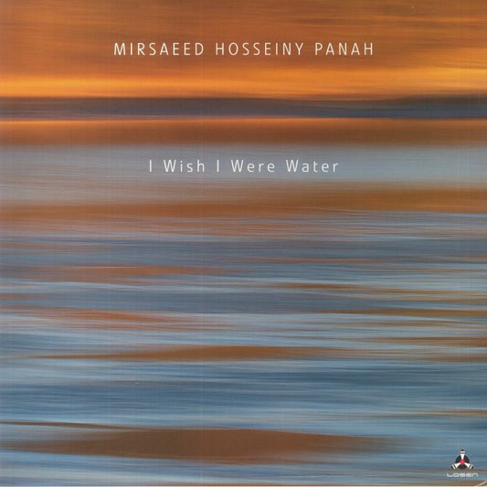 I Wish I Were Water - Vinyl LP vinyl record cover