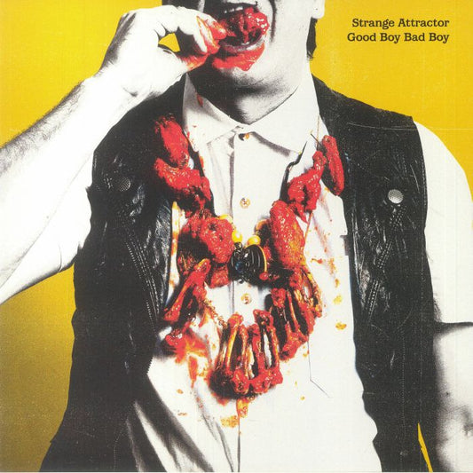 Good Boy Bad Boy - Vinyl LP vinyl record cover