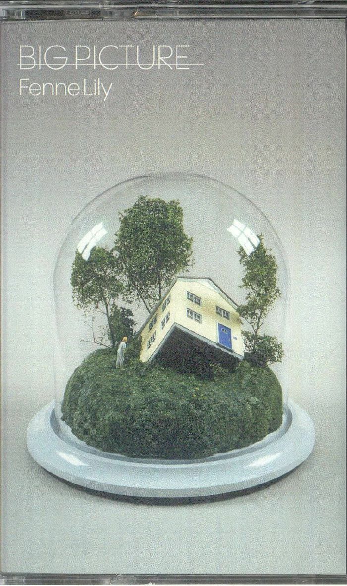 Big Picture - Cassette audio cassette cover