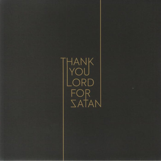Thank You Lord For Satan - Vinyl LP vinyl record cover