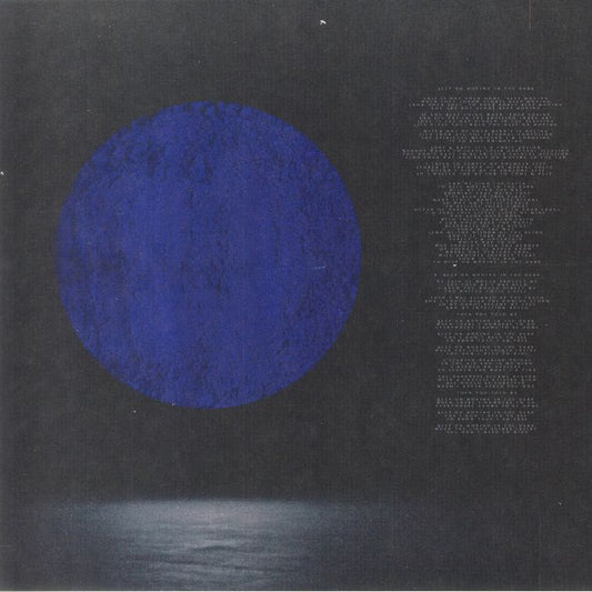 Today & Tomorrow - Vinyl LP vinyl record cover