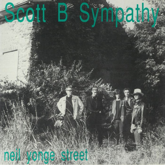 Neil Yonge Street - Vinyl LP vinyl record cover