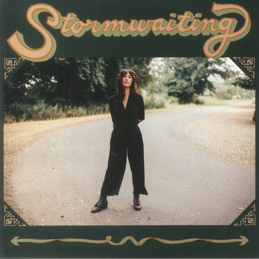 Stormwaiting - Vinyl LP vinyl record cover