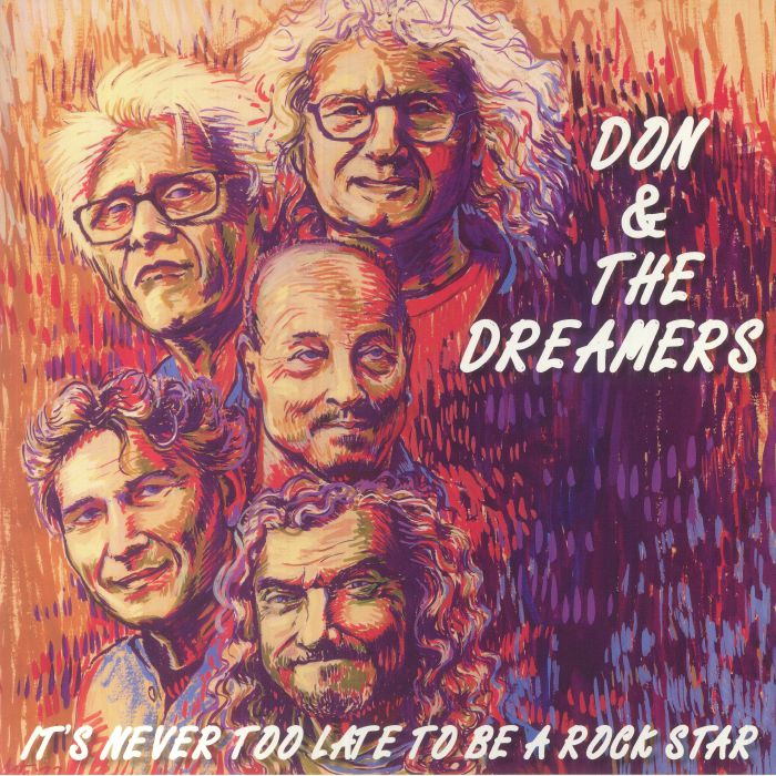 It's Never Too Late To Be A Rockstar - Vinyl LP vinyl record cover