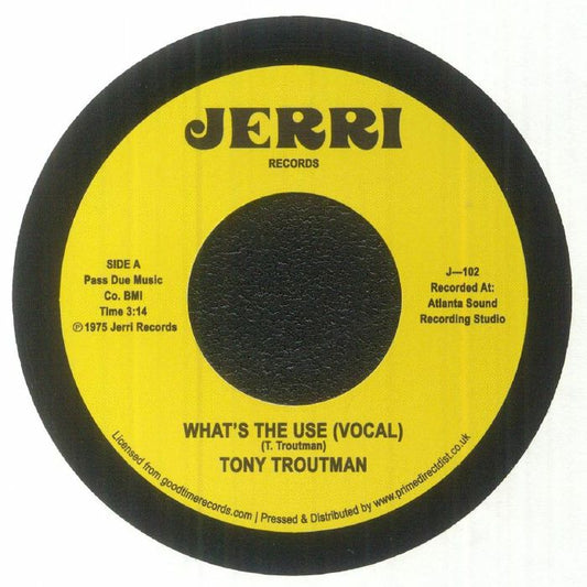 What's The Use? - Vinyl Single vinyl record cover