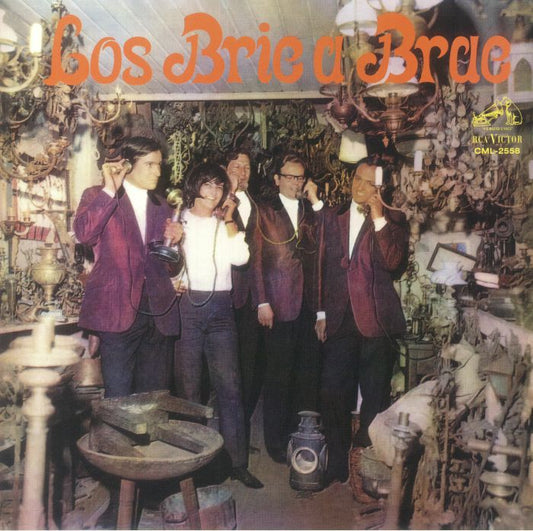Los Bric A Brac - Remastered Vinyl LP vinyl record cover