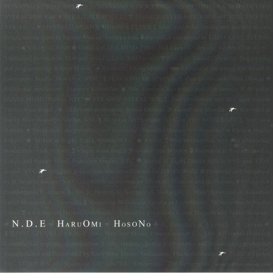 NDE - Remastered 2xLP vinyl record cover