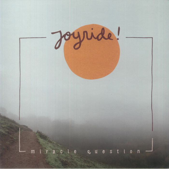 Miracle Question - Vinyl LP vinyl record cover