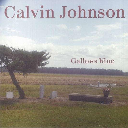 Gallows Wine - Vinyl LP vinyl record cover