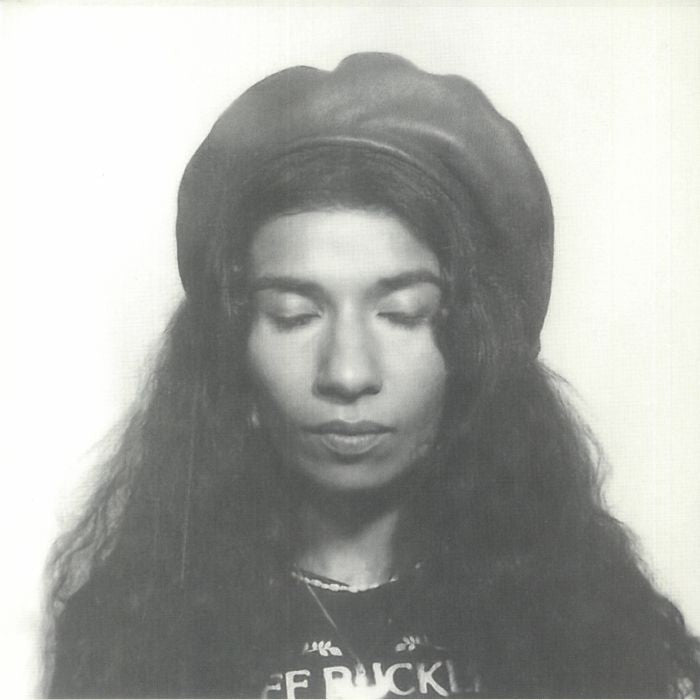 Dreamer - Vinyl LP vinyl record cover