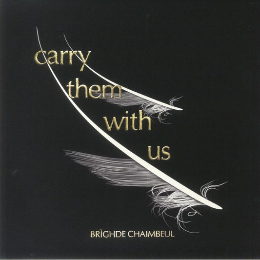 Carry Them With Us - Vinyl LP vinyl record cover