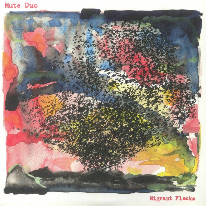 Migrant Flocks - Vinyl LP vinyl record cover