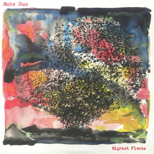 Migrant Flocks - Vinyl LP vinyl record cover