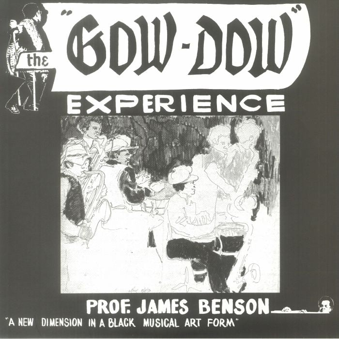 The Gow-Dow Experience - Vinyl LP vinyl record cover
