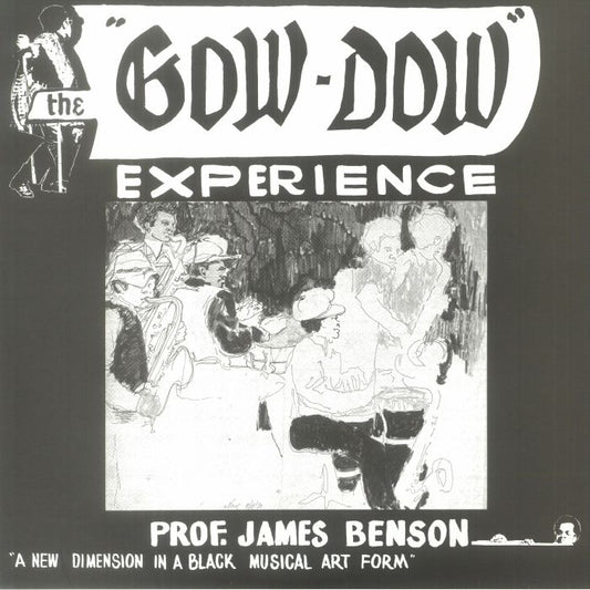 The Gow-Dow Experience - Vinyl LP vinyl record cover