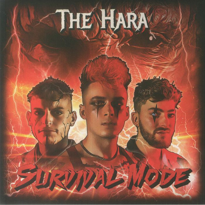 Survival Mode - Vinyl LP vinyl record cover