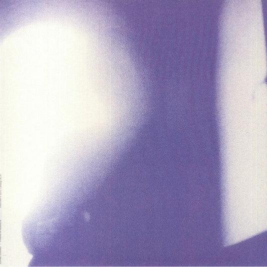 Pruebas De Existencia - Vinyl LP vinyl record cover