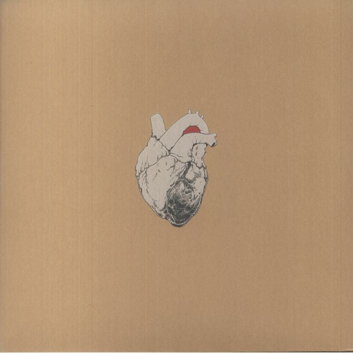 The Beggar - 2xLP vinyl record cover