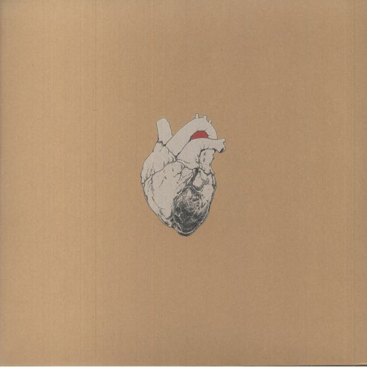 The Beggar - 2xLP vinyl record cover