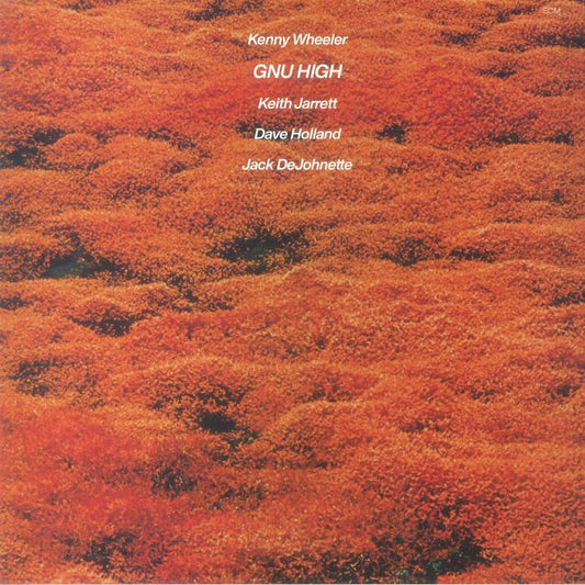 Gnu High (Luminessence Series) - Vinyl LP vinyl record cover