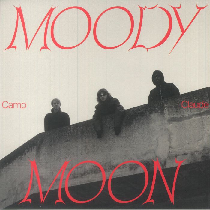 Moody Moon - Vinyl LP vinyl record cover