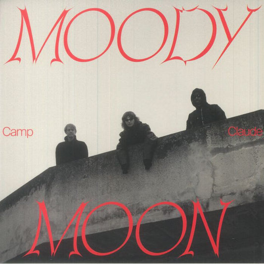 Moody Moon - Vinyl LP vinyl record cover