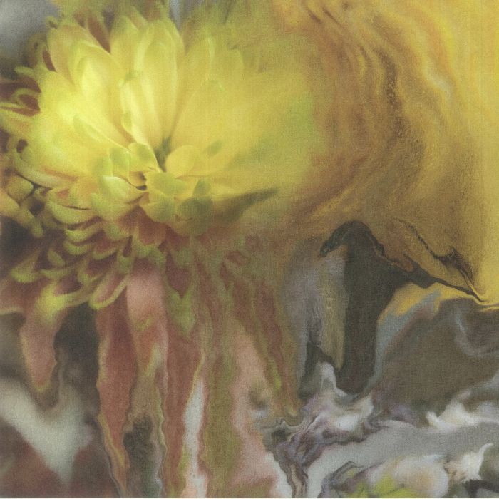 Wilderness Within You - Vinyl LP vinyl record cover