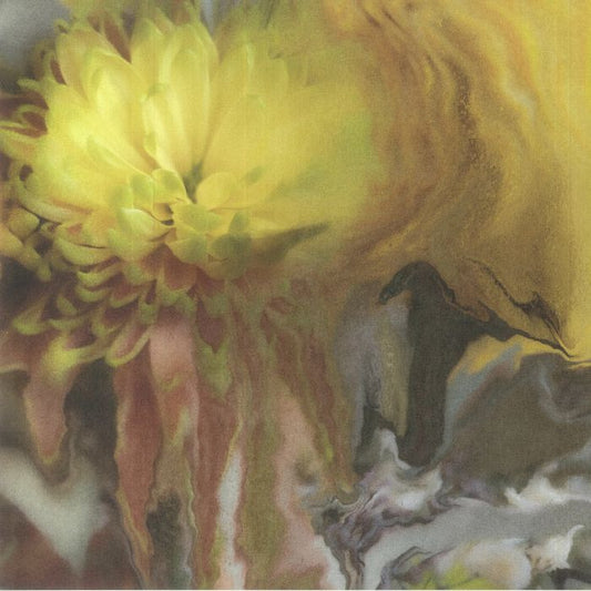 Wilderness Within You - Vinyl LP vinyl record cover
