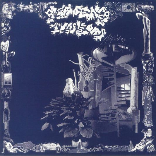 Glittering Insects - Limited Edition Vinyl LP vinyl record cover
