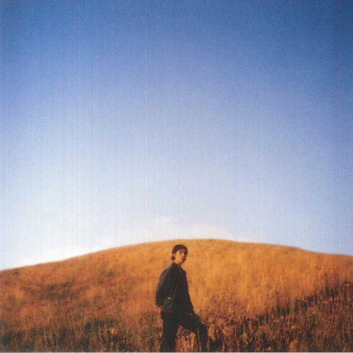 Dear Departed - Vinyl LP vinyl record cover