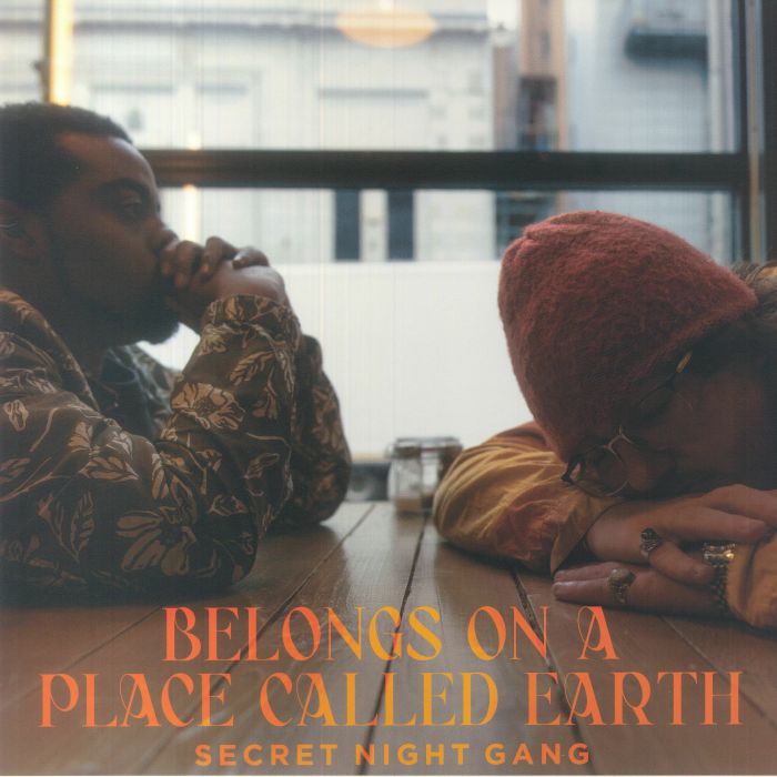 Belongs On A Place Called Earth - Vinyl LP vinyl record cover