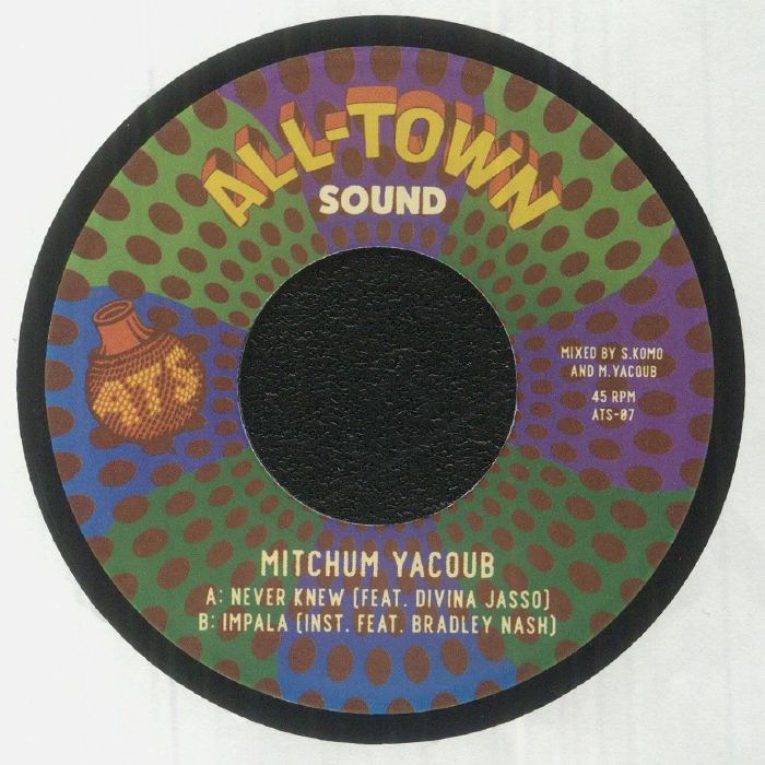 Never Knew - Vinyl Single vinyl record cover