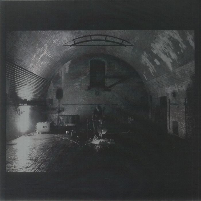 Devolving Trust - Vinyl LP vinyl record cover