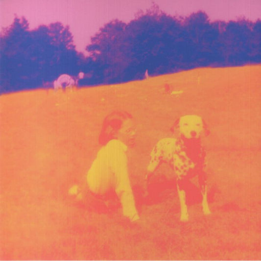 Blinking Lights & Other Revelations - Violet Vinyl 3xLP vinyl record cover