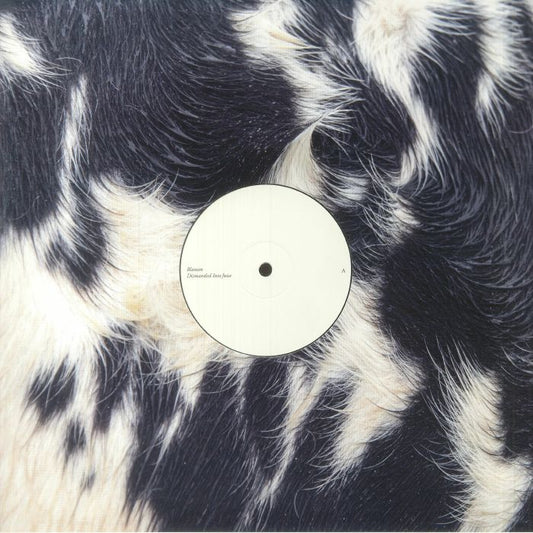 Dismantled Into Juice - Vinyl EP vinyl record cover