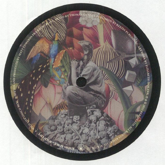 Wild Life - Vinyl Single vinyl record cover