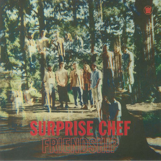 Friendship - Vinyl LP vinyl record cover